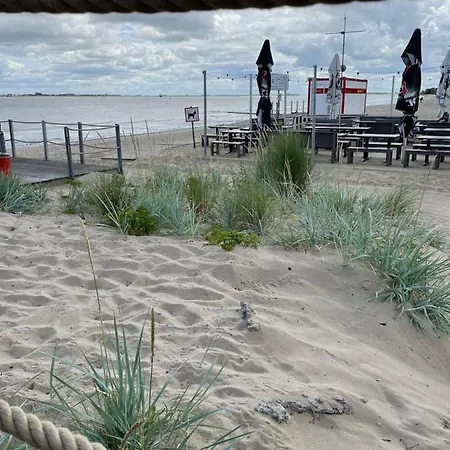 Deichperle Krautsand Drochtersen