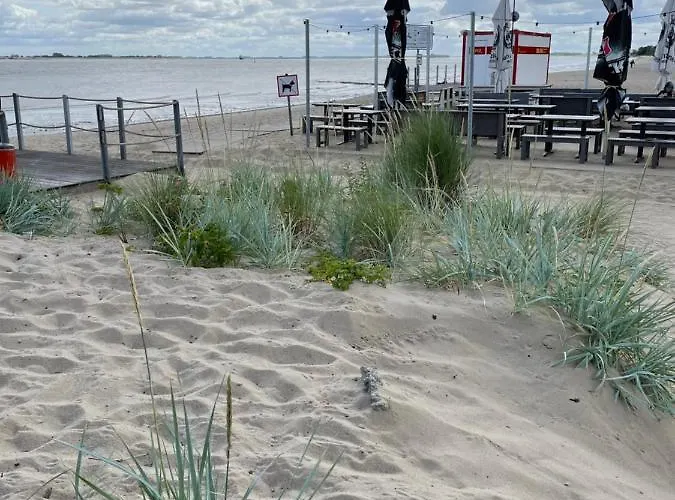 Deichperle Krautsand Drochtersen